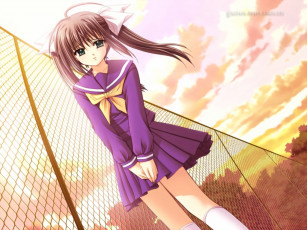 Картинка аниме *unknown другое