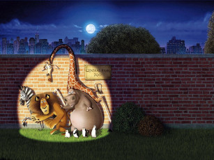Картинка мультфильмы madagascar
