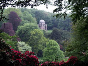 Картинка природа