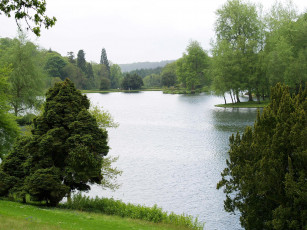 Картинка природа