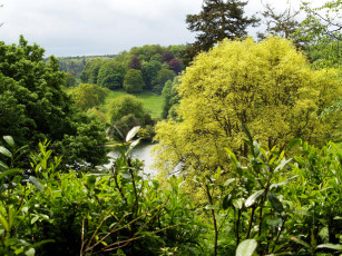 Картинка природа