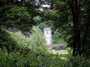 Картинка природа