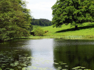 Картинка природа