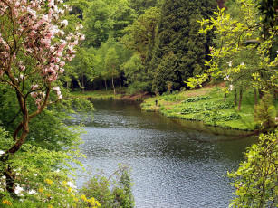 Картинка природа