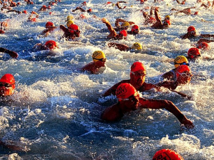 Картинка спорт плавание