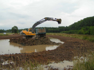 Картинка техника экскаваторы