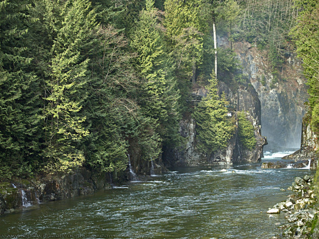 Обои картинки фото природа