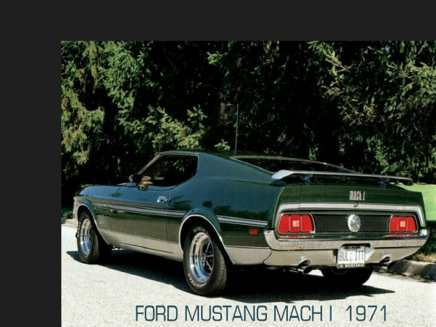 Обои картинки фото автомобили, ford