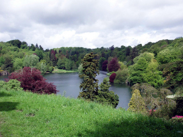 Обои картинки фото природа