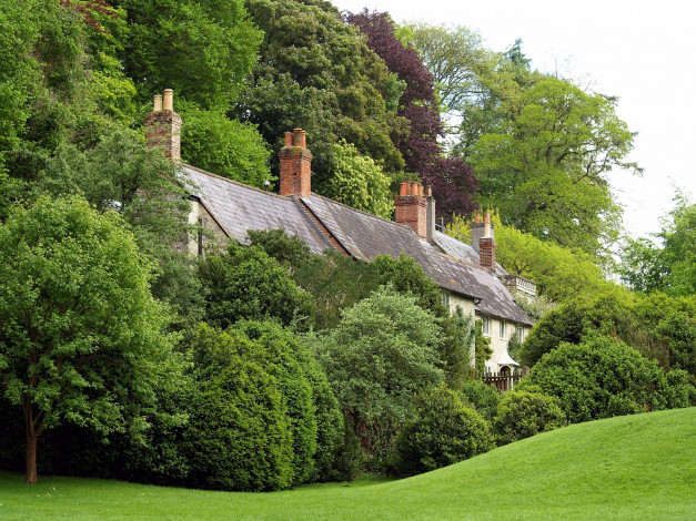 Обои картинки фото природа