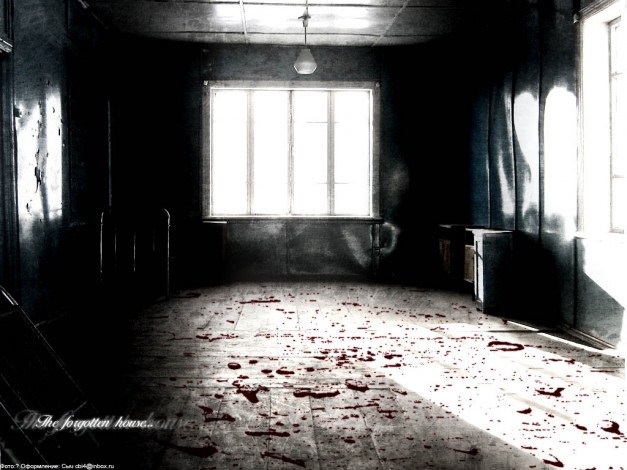 Обои картинки фото разное