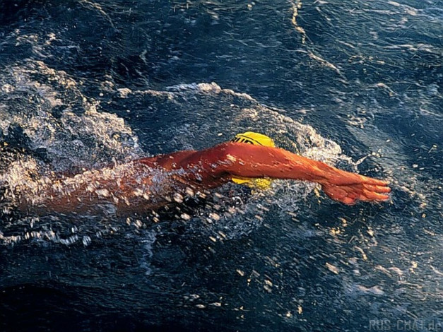 Обои картинки фото спорт, плавание