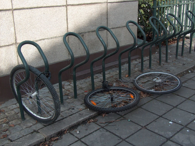 Обои картинки фото разное