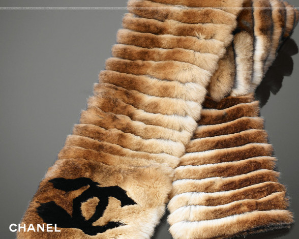 Обои картинки фото бренды, chanel