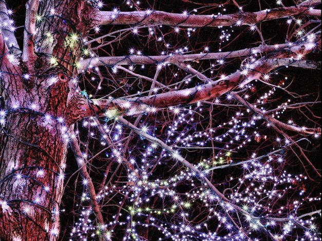 Обои картинки фото праздничные, новогодние, пейзажи