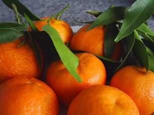 Картинка еда цитрусы