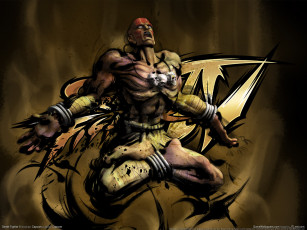 Картинка видео игры street fighter iv