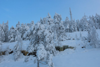 Картинка природа зима снег деревья