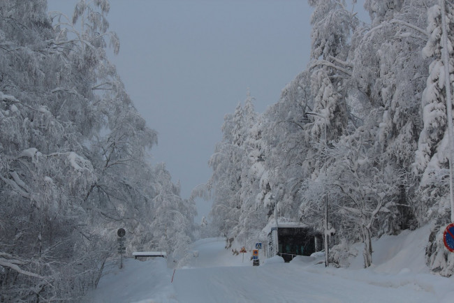 Обои картинки фото природа, дороги, снег, деревья, дорога