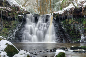 Картинка природа водопады водопад река лес