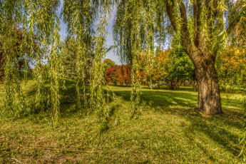 Картинка природа пейзажи простор