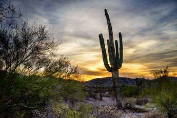 Картинка природа пустыни простор