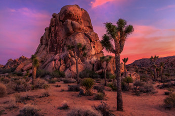 Картинка природа пустыни простор