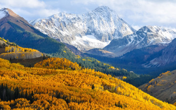 Картинка природа пейзажи горы лес