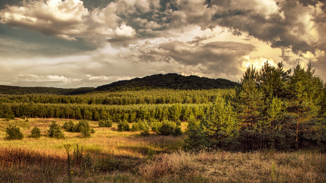 Обои картинки фото природа, пейзажи, простор