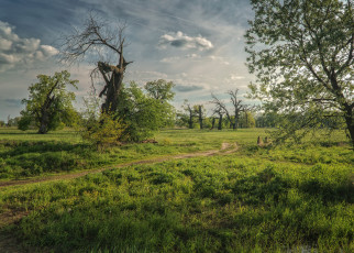 Картинка природа пейзажи простор