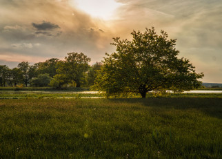 Картинка природа пейзажи простор