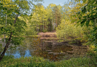 Картинка природа реки озера простор