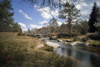 Картинка природа реки озера простор