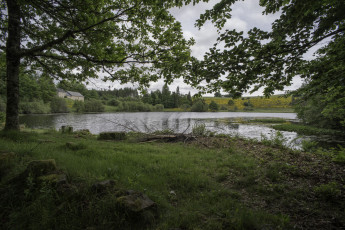 Картинка природа реки озера простор