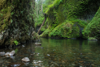 Картинка природа реки озера простор