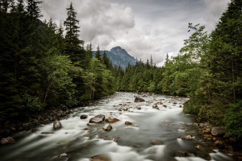 Картинка природа реки озера простор