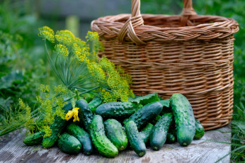 Картинка еда огурцы укроп корзина