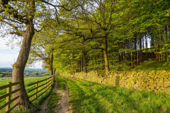 Картинка природа дороги простор