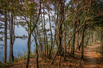 Картинка природа дороги простор