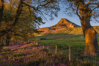 Картинка природа пейзажи простор