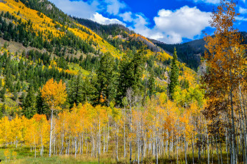 Картинка природа пейзажи простор