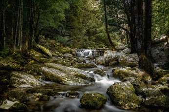 Картинка природа реки озера простор