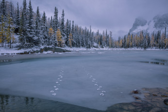 Картинка природа зима простор