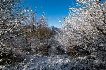 Картинка природа зима простор