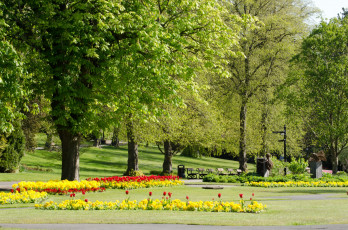 Картинка природа парк клумбы скамейки деревья