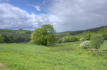 Картинка природа пейзажи простор