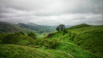 Картинка природа пейзажи простор