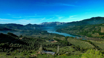 Картинка природа пейзажи простор