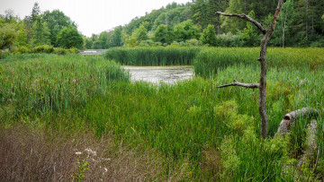 Картинка природа реки озера простор