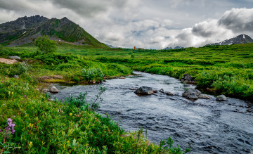 Картинка природа реки озера простор